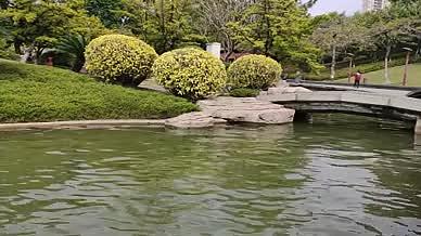 湖水拍摄实拍园林树木视频的预览图